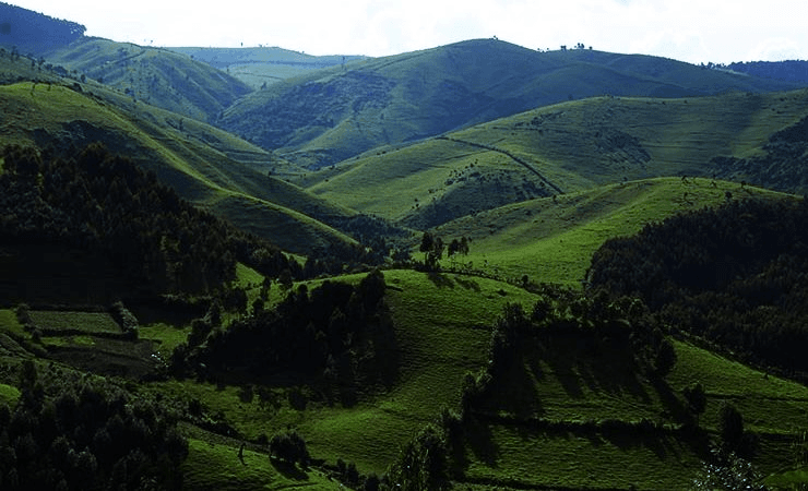 Rwanda landscapes